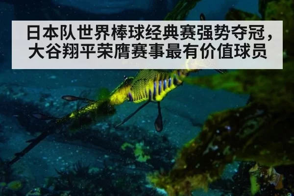 日本队世界棒球经典赛强势夺冠，大谷翔平荣膺赛事最有价值球员