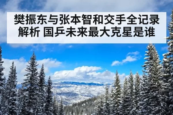 樊振东与张本智和交手全记录解析 国乒未来最大克星是谁