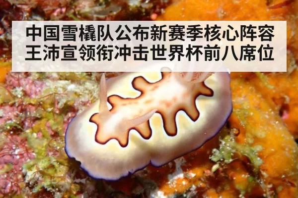 中国雪橇队公布新赛季核心阵容 王沛宣领衔冲击世界杯前八席位