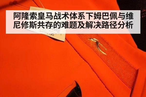 阿隆索皇马战术体系下姆巴佩与维尼修斯共存的难题及解决路径分析